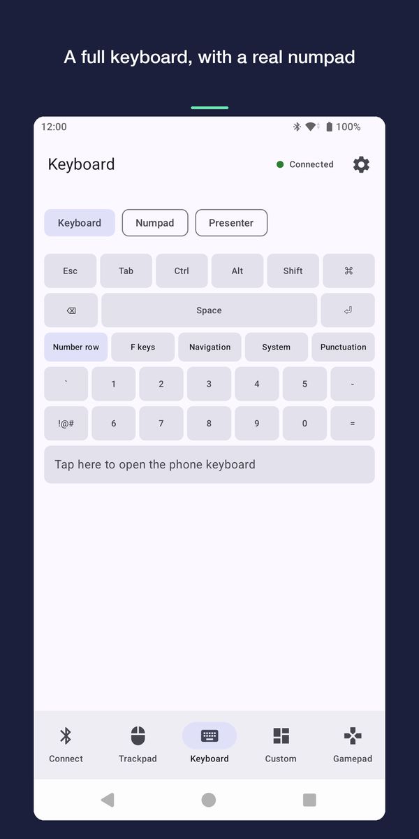 The keyboard screen with modifier keys, a number row and a button that opens the phone's own keyboard.